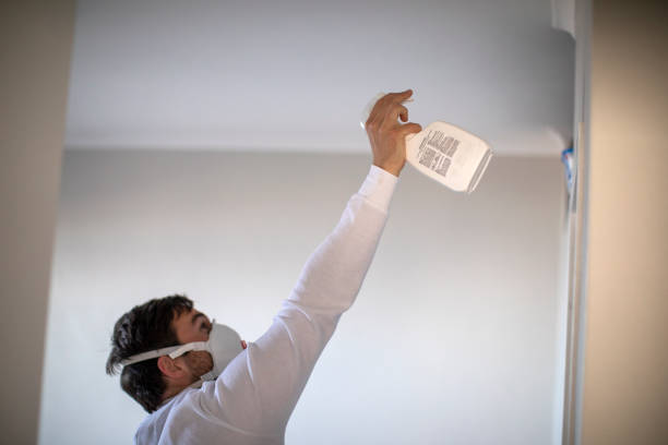 Best Mold Remediation for Specific Building Types in Thruston, KY